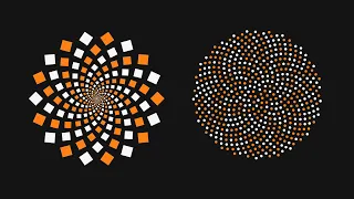 Fibonacci Spiral with 2 step in Illustrator CC 2023