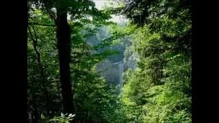 Taughannock Falls , A Long Way Down