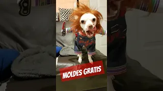 Disfraz de Chuky para perro. Ropa para perros y mascotas. Disfraces Halloween.