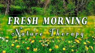 🌿🌞 Begin Your Day with the POSITIVE ENERGY of Healing Spring Sounds 🌻Fresh Morning Meadow Ambience#2