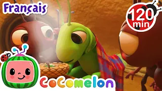 La cigale et la fourmi | Chansons pour Bébés | CoComelon Le coin des Animaux de JJ - Comptines