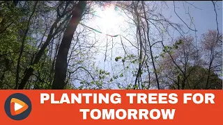 Earth Day Tree Planting