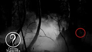 Creepy Mysteries About Hoia Baciu Haunted Forest - Documentary