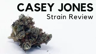 Casey Jones Strain Review