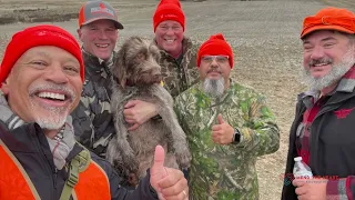 'Star Initiative' Pheasant Hunt - Dec 2023, Rockford, WA