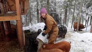 Homesteading in North Idaho | Winter VlOG 2023