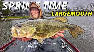 BIG Largemouth Bass BITE In The RAIN! Michigan Spring Bass Fishing