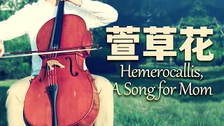 Hemerocallis | Xuan Cao Hua | CelloCover by Cellofox_