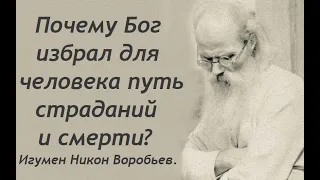 Почему Бог избрал для человека путь страданий и смерти? Игумен Никон Воробьев.