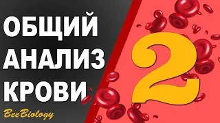 Общий Анализ Крови • НОРМА • показателей  /Гемоглобин / Эритоциты / СОЭ / Лейкоциты / Тромбоциты