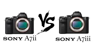 Sony A7II Vs Sony A7III | Should You Upgrade ?