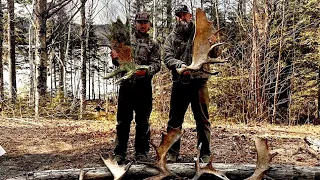 2024 Northern Maine Shed Hunting episode 1