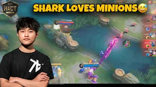 TOB SHARK Franco Pick A Joke or Game Changer? NACT Fall TOB vs A77