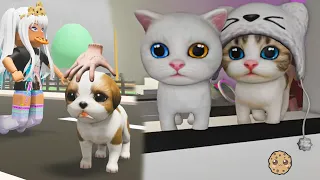 Pet Party Roblox Puppy Kitten House