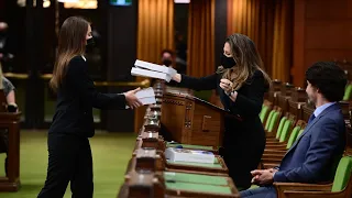 Freeland says budget will finish the fight against COVID-19