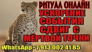 УСКОРЕНИЕ СОБЫТИЯ ПРОРЫВ СИТУАЦИИ СДВИГ С МЁРТВОЙ ТОЧКИ РИТУАЛ ОНЛАЙН Магические советы Ведуньи Окса