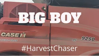 Need More Trucks - Big Boy CASE IH Axial Flow® 9250 4412F -9410R - Brent 1087 #harvestchaser 4K