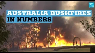 Australia bushfires in numbers