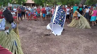 Reisado de Boa Hora Piauí 2020