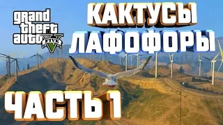 GTA V НА 100%+ КАКТУСЫ ЛАФОФОРЫ ЧАСТЬ 1