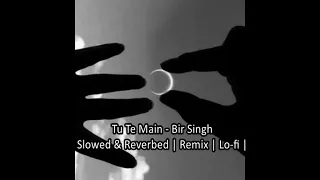 Tu Te Main || Bir Singh || Slowed & Reverbed || Remix || Lo-fi || Punjabi Song♥️