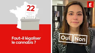 Faut-il légaliser le cannabis ? Les arguments du "oui" et du "non"