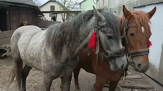 в пана Василя обновочка