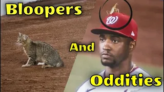 MLB  Oddities and Bloopers July 2021