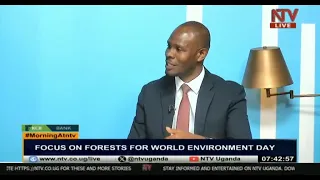 Improving Uganda's Forest Cover: Focus on Forests for World Environment Day