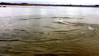 Flat water testing RC Surfer surf