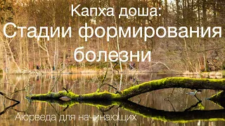 Капха доша:  Стадии развития болезней. Аюревда для начинающих.