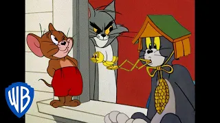 Tom y Jerry en Latino | Los reyes de la travesura | WB Kids