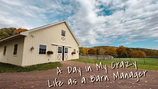 A DAY IN MY CRAZY LIFE AS A BARN MANAGER: The Morning Barn Routine, Farm Chores & Feeding the Horses