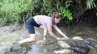 Hunting Wild Fish: Survival Skills, Unique Fishing, Techniques Fishing, Catch A Lot Fish In The Lake