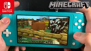 My bro play Minecraft on the Nintendo Switch Lite - #5