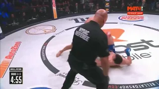 😱🐞 Fedor Emelianenko vs Chael Sonnen highlights