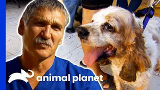 Dr. Jeff Helps Animals In Underserved Areas Of Mexico | Dr. Jeff: Rocky Mountain Vet