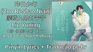 Liu Yuning (摩登兄弟刘宇宁) - 昨日少年 (Zuo Ri Shao Nian) pt-br+lyrics