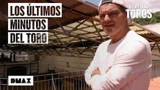 Wild Frank y los traumáticos minutos previos a la corrida de toros | Wild Frank