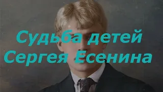 Судьба детей Сергея Есенина