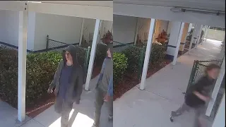 Three teens caught on camera vandalizing Fort Myers school
