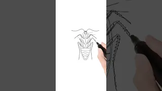 cockroach detail information #cockroach #cockroaches #dipak333 #drawing #animation #shorts #kuchhnay