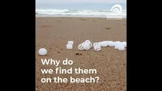 🇬🇧🙋 Biomedia: why do we find them on the beach?