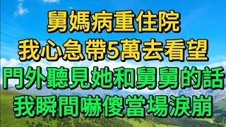 舅媽病重住院，我心急帶5萬去看望，門外聽見她和舅舅的話，我瞬間嚇傻當場淚崩 | 柳梦微语