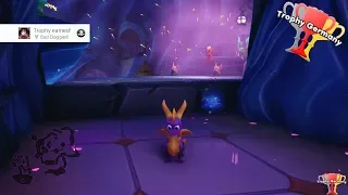 Spyro the Dragon - Bad Doggies! - Trophy / Achievement Guide (1080p 60fps)