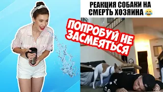 САМОЕ СМЕШНОЕ ВИДЕО В МИРЕ / Приколы 2020 / ЧЕЛЛЕНДЖ попробуй не засмеяться с Oliviya FUN #10