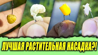 Ловлю ФИДЕРОМ на ТЕСТО, БОЛТУШКУ, КУКУРУЗУ и ПЕРЛОВКУ! Что можно поймать на ФИДЕР на ЭТИ НАСАДКИ?!