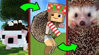 Как Менялась Девушка Ёжик и её Жизненный Цикл в Майнкрафт Эволюция Minecraft Троллинг Мультик Майн