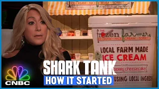 Lori Is Skeptical About This Entrepreneur | Shark Tank How It Started