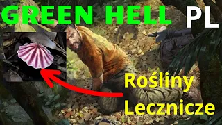 Green Hell Rośliny Lecznicze🌿 - Podstawy przetrwania, które musisz znać - Poradnik PL #greenhell